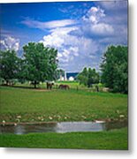 Out To Pasture Metal Print