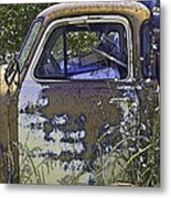 Out To Pasture Metal Print