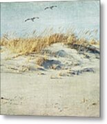 Over The Dune Metal Print