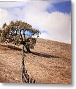 Over The Line Metal Print