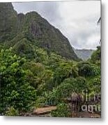 Overview Of The Iao Needle State Park Maui Metal Print