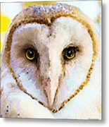 Owl Art - Soft Love Metal Print