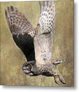 Owl In Flight Metal Print