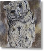 Owl Metal Print