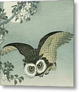Owl - Moon - Cherry Blossoms Metal Print