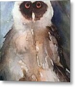 Owl Metal Print