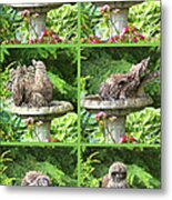 Owls Do Take Baths Vertical Metal Print