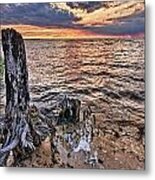 Oyster Bay Stump Sunset Metal Print