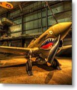 P-40 Warhawk Metal Print
