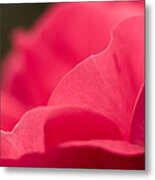 P Is For Pink Metal Print