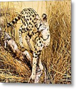 Painted Cheetah Metal Print