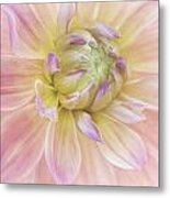 Painted Dahlia Metal Print