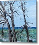 Painting - Waiting For Spring - Lake Ontario Metal Print