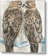 Pair Of Hawks Metal Print