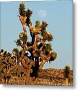 Pale Moon Rising Metal Print