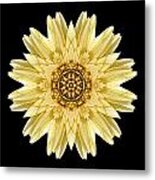 Pale Yellow Gerbera Daisy I Flower Mandala Metal Print