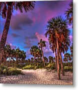 Palm Grove Metal Print