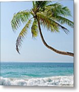 Palm Tree On White Sand Beach Metal Print