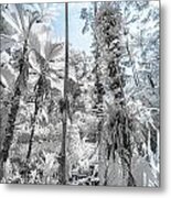 Palm Trees In Infrared Metal Print