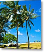 Palm Trees In The Park Metal Print