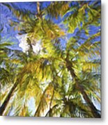 Palm Trees Of Aruba Metal Print