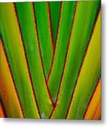 Palm Weave Grande Metal Print