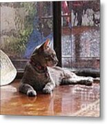 Pancho The Prince Metal Print