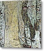 Panoramic Tree Bark Abstract Metal Print