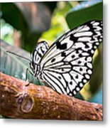 Paper Kite Metal Print