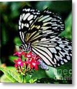 Paper White Butterfly Metal Print