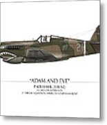 Pappy Boyington P-40 Warhawk - White Background Metal Print