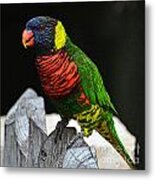 Parakeet Vibrant Colorful Profile Poster Edges Digital Art Metal Print