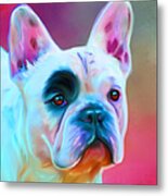 Vibrant French Bull Dog Portrait Metal Print by Michelle Wrighton