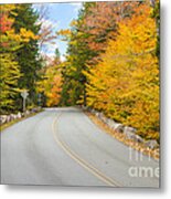 Park Loop Road In Autumn Acadia National Park Maine Metal Print