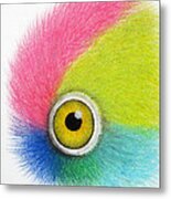 Parrot Eye Metal Print