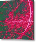 Particle Tracks In Bubble Chambr Metal Print