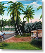 Paseo Por La Isla Metal Print