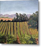 Paso Robles Vineyard I Metal Print