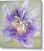 Passion Flower Metal Print