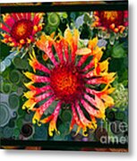 Passionate Pinwheels And Blooming Abstract Flower Art Metal Print
