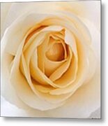 Pastel Beauty Metal Print