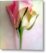 Pastel Rose Metal Print