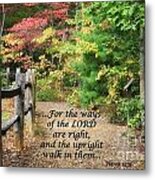 Path In Autumn Scripture Metal Print