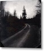 Path In The Dark Forest And Conifer Tree Metal Print