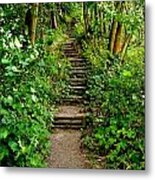 Path Into The Forest Metal Print