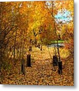 Path Of Fall Foliage Metal Print