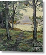 Path To The Pond / Early Morning Metal Print