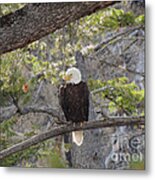 Patience Metal Print