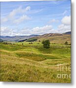 Peace In Glen Clova Metal Print