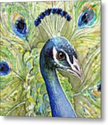 Peacock Watercolor Portrait Metal Print